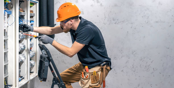 Best Electric Panel Repair  in South Milwaukee, WI